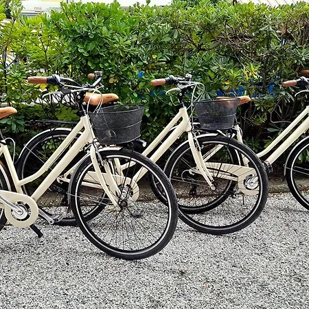 Apartment Ampio, Elegante Con Aria Condizionata E Bici Gratis Viareggio