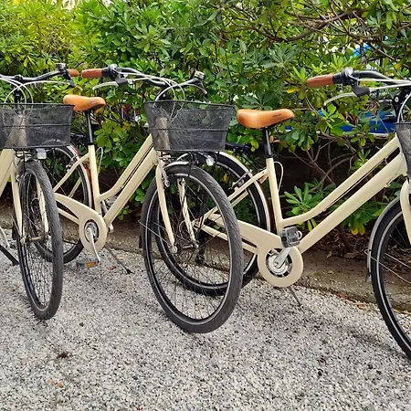 Ampio, Elegante Con Aria Condizionata E Bici Gratis Apartment